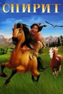Спирит: душа прерий (мультфильм 2002)